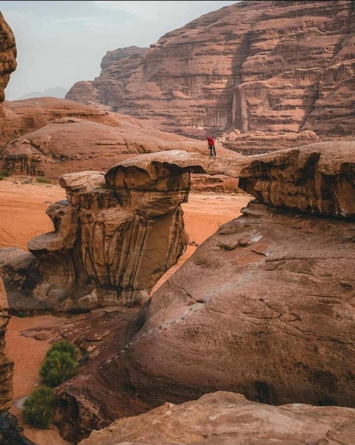 Rehana Rum Camp Wadi Rum Exteriör bild