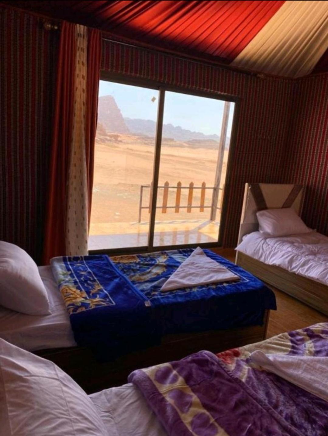 Rehana Rum Camp Wadi Rum Exteriör bild